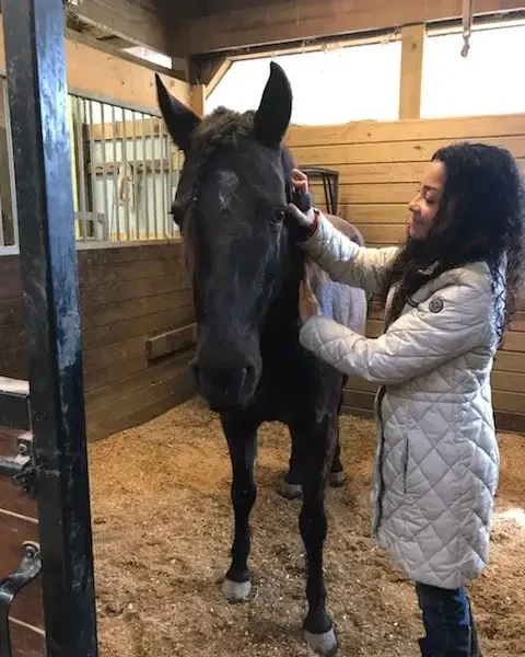 owner giving love to horse